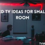 Mounted TV Ideas for Small Living Room